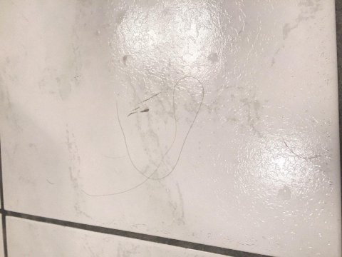 凯斯霍夫酒店-浴室