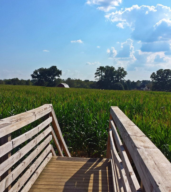 Oakes Farm Corn Maze-Corryton必去景点