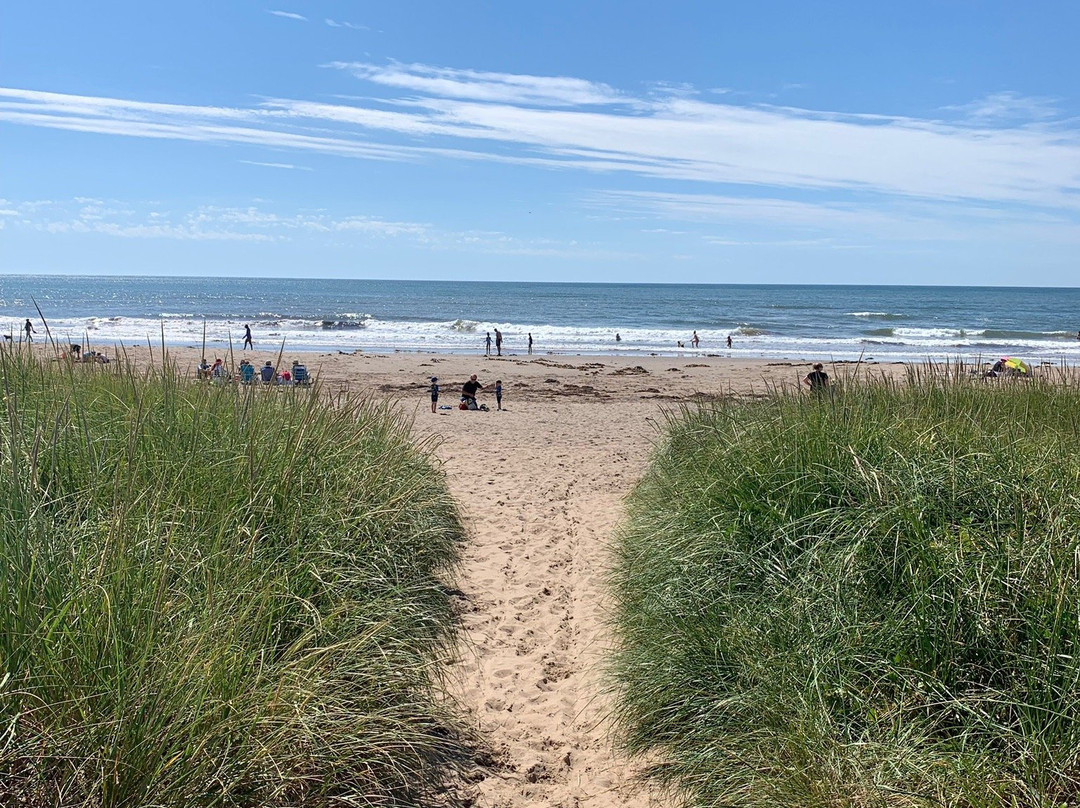 Conrad's Beach-Lawrencetown必去景点