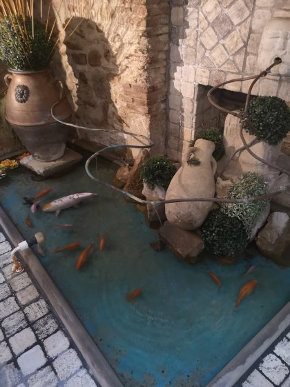 Albergo Della Corte-官方