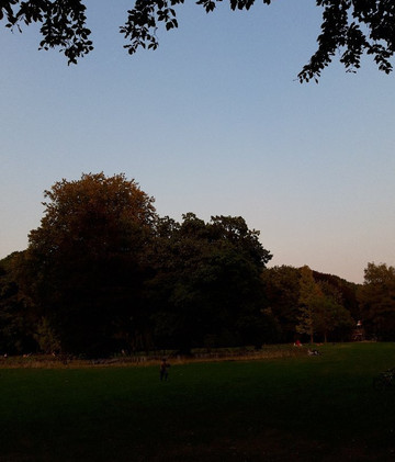 Te Boelaerpark-安特卫普必去景点