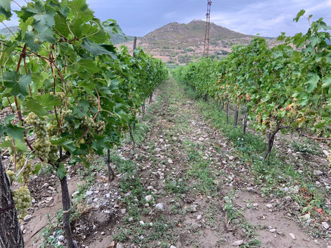 Let's Georgia-第比利斯必去景点