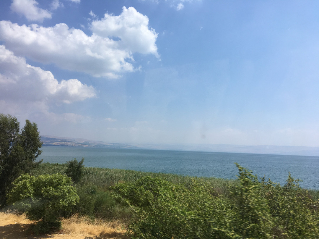 瑞斯泰尔酒店主图