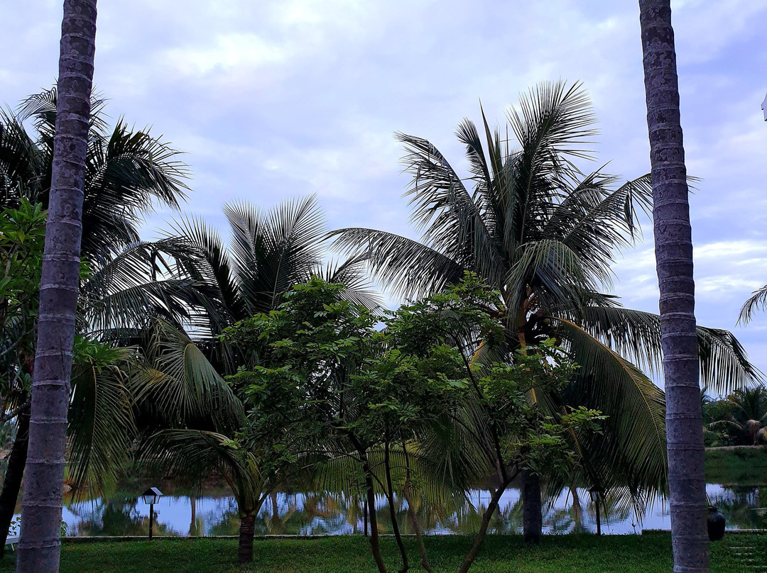 Water Coconut Boutique Villas主图