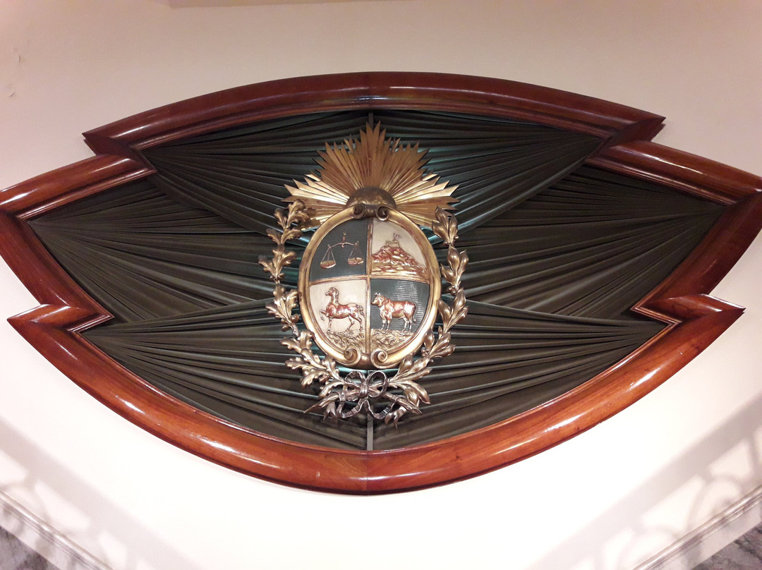 Museo Casa de Gobierno-蒙得维的亚必去景点