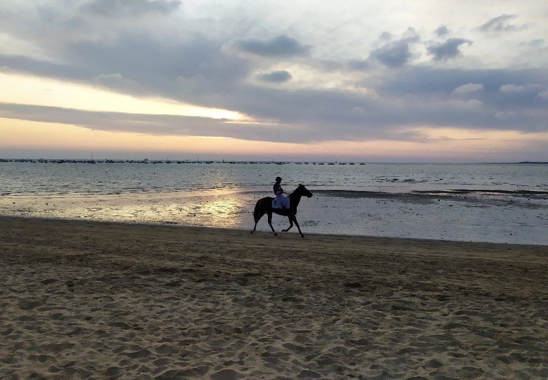 Playas de La Calzada景点图片