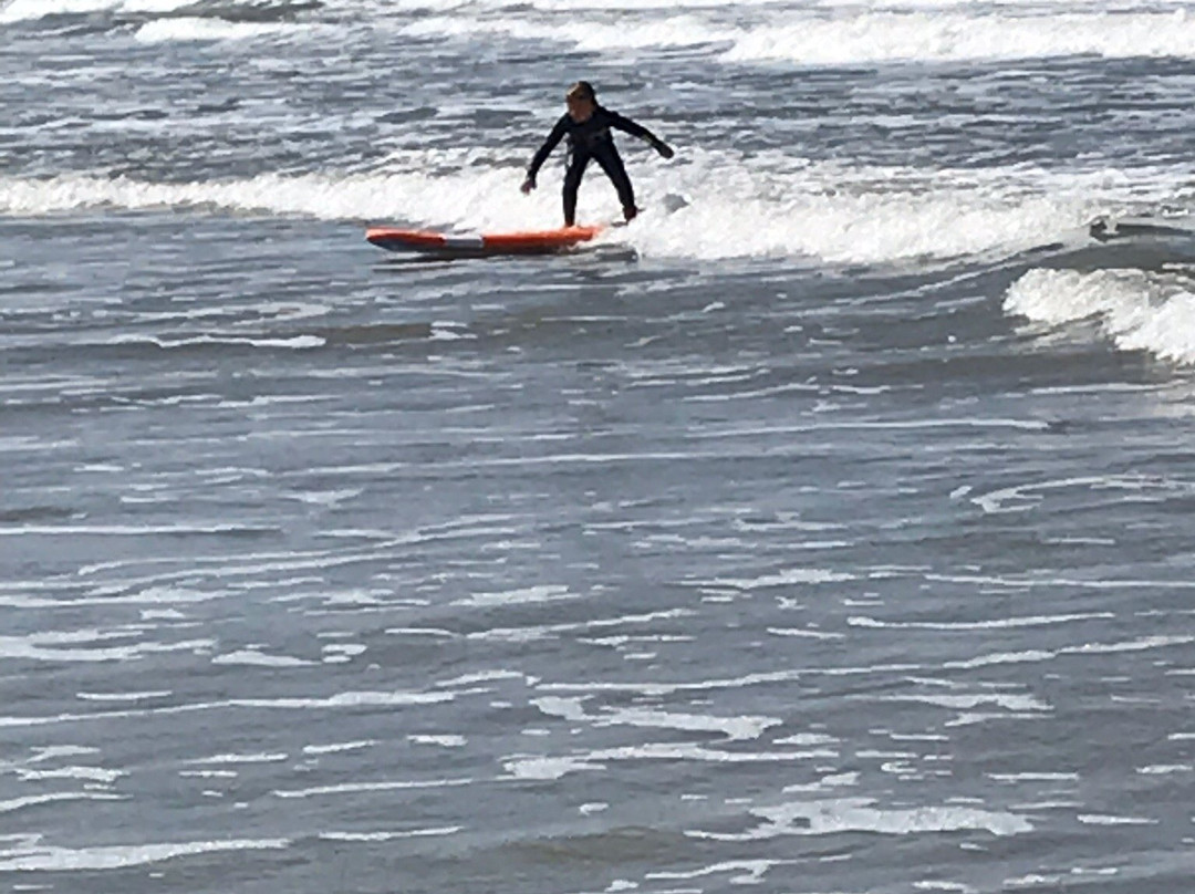 Bliss surf school景点图片