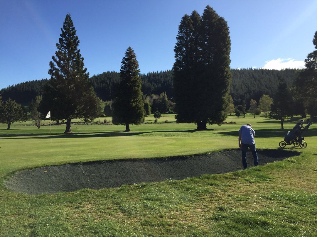 Totaradale Golf Club景点图片