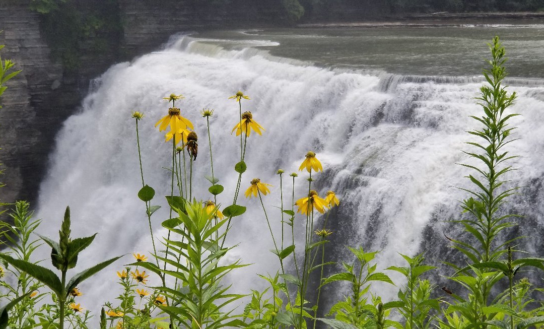 Letchworth State Park景点图片