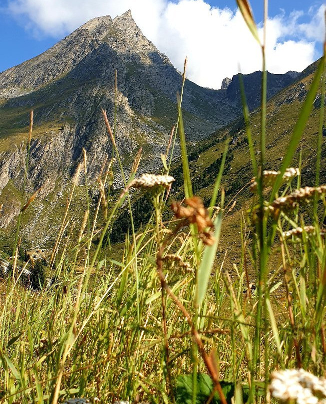 Sentier de l'Orgère景点图片