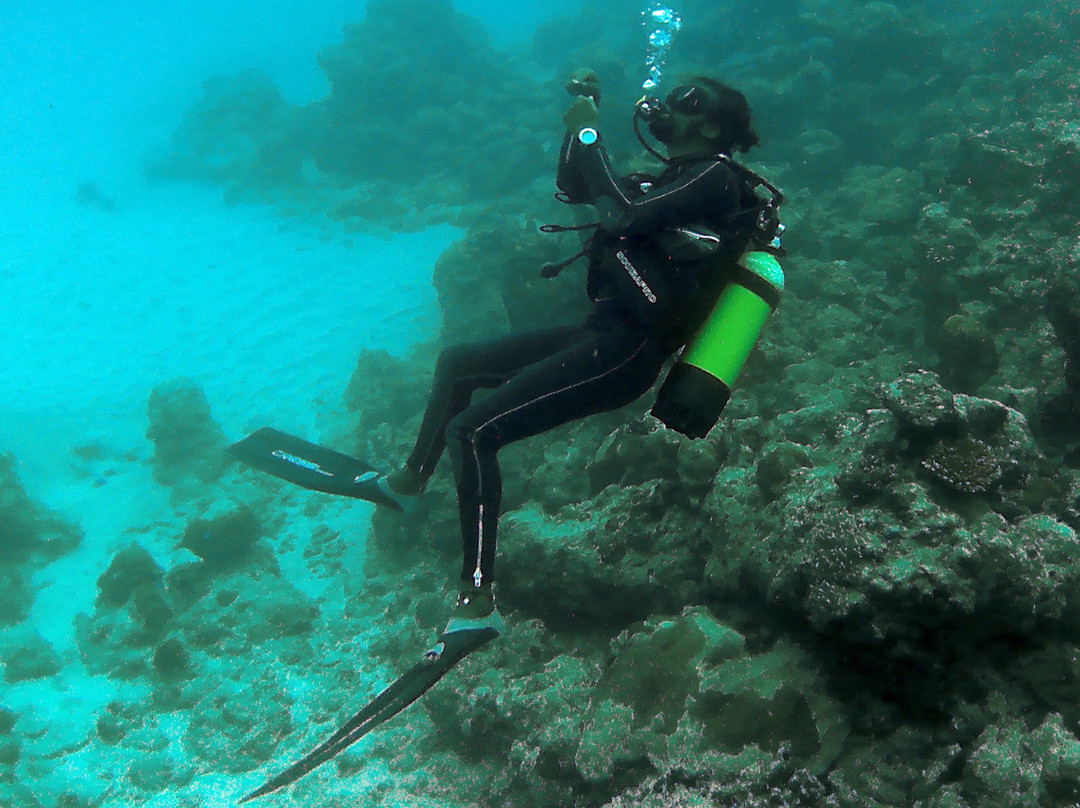 Nemo Diving Center-弗力克昂弗雷克必去景点