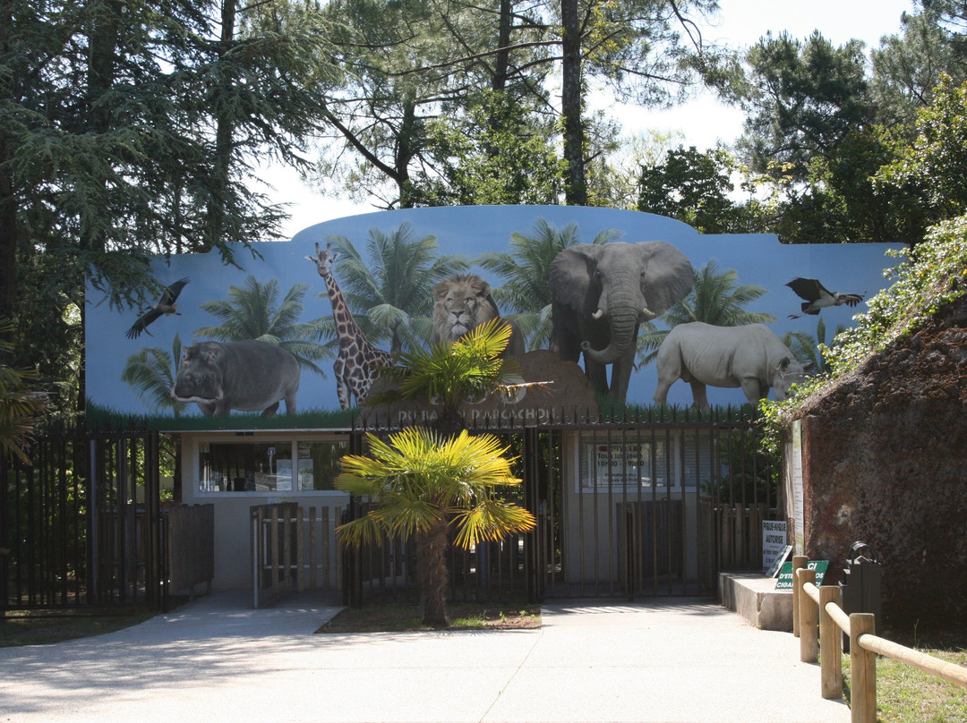 Zoo Bassin d'Arcachon景点图片