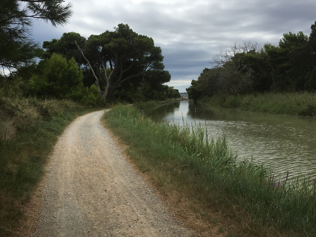 Reserve Naturelle Sainte Lucie-Port La Nouvelle必去景点