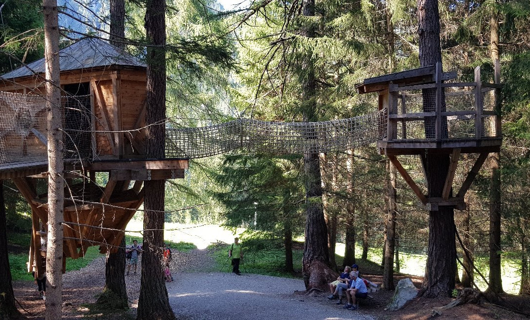 Stubai Baumhausweg景点图片