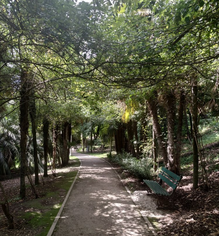 Arboretum of Arco景点图片