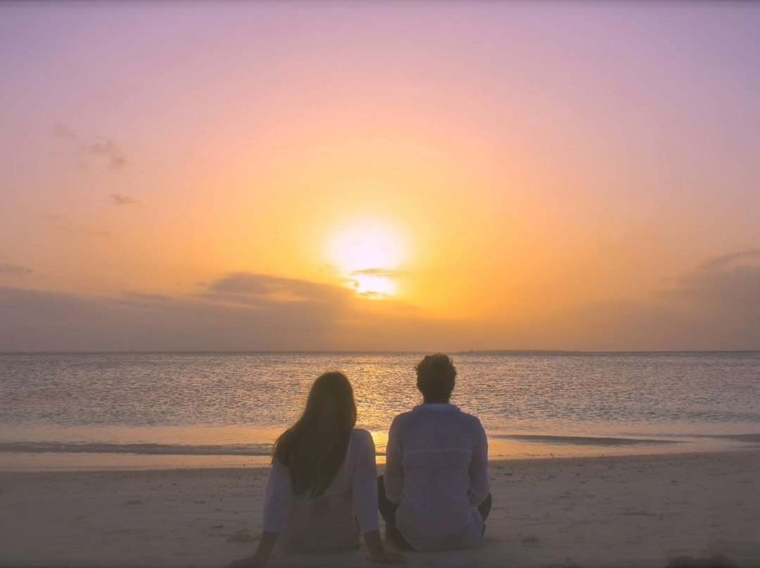 Zenjy Tours-桑给巴尔岛必去景点