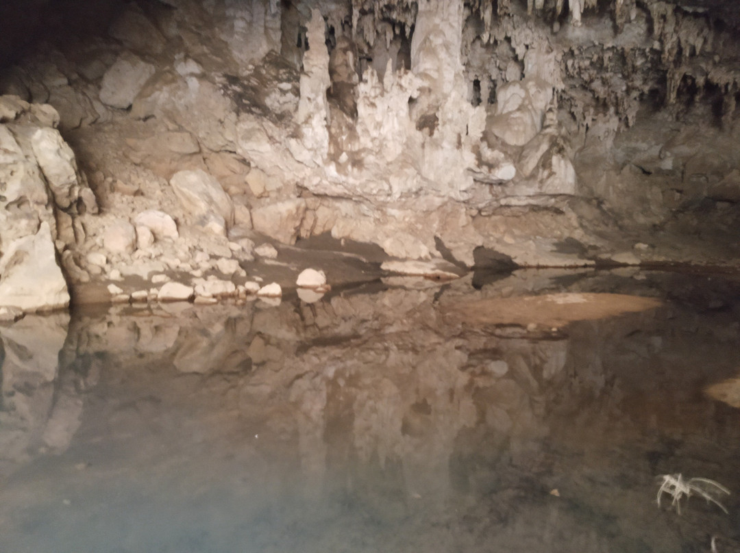 Tunnel Creek National Park景点图片