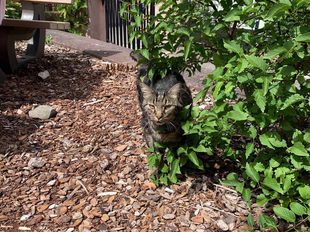 Hotel a l'Agneau主图