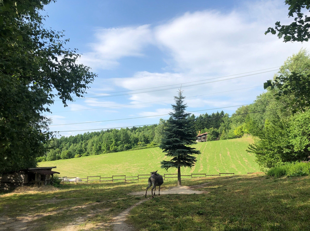 拉克莱特旅馆主图