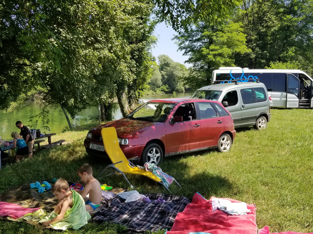 Octopus Transfers-扎达尔必去景点