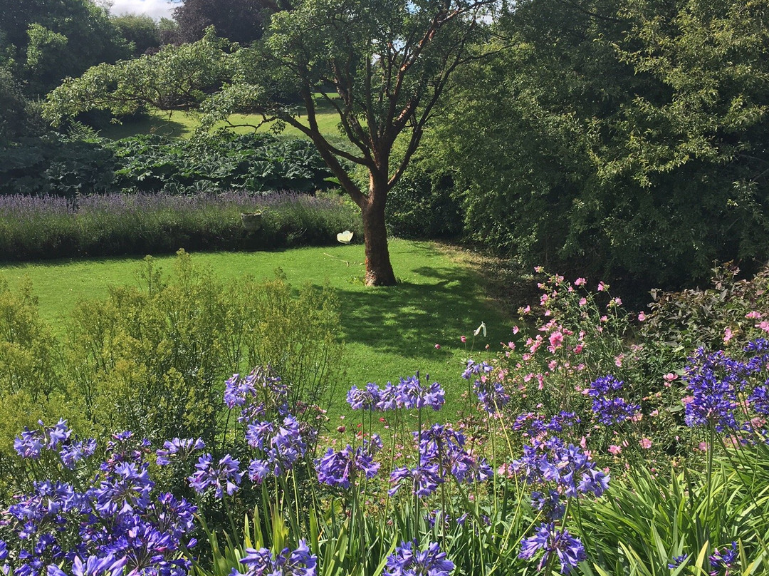 Howick Hall Gardens & Arboretum景点图片