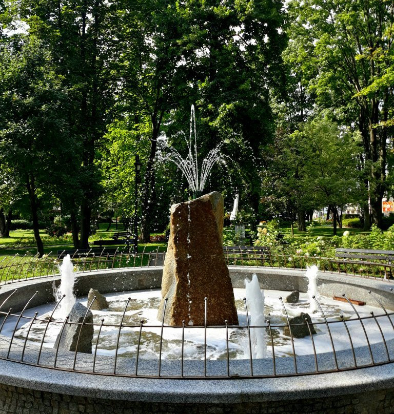 Park z Fontanną Solankową景点图片