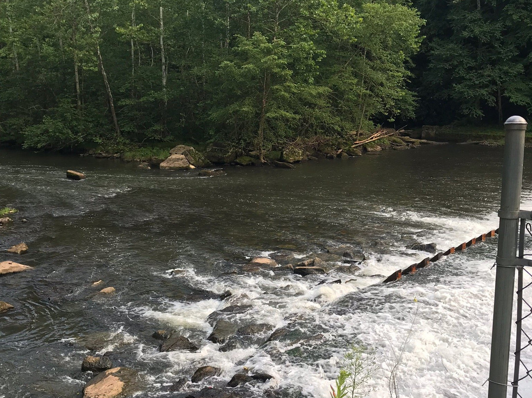 Kettle Creek State Park景点图片