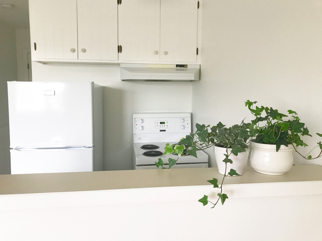 班布里奇酒店主图