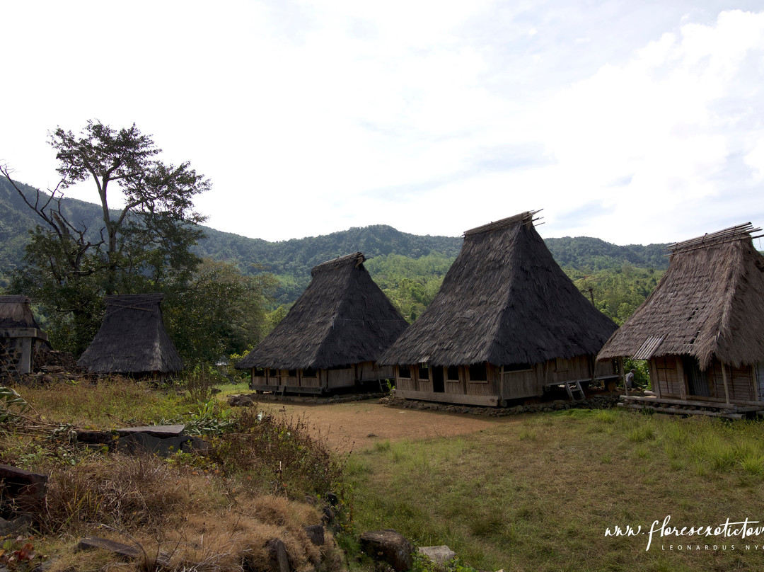 Wologai Traditional Village-弗洛勒斯岛必去景点