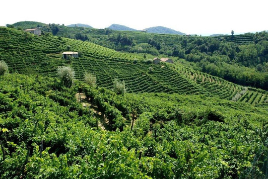 ITALY CYCLING TOUR-Valdobbiadene必去景点