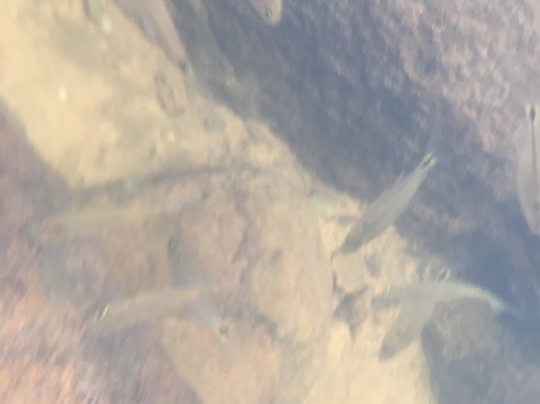 Cachoeira Do Pitú-卡纳内亚必去景点