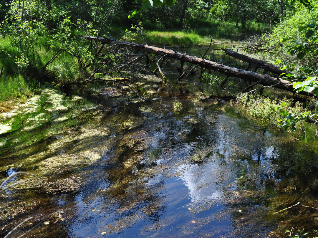 Odalatsi Springs-Odalatsi必去景点