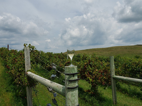 Prairie Fire Winery-Paxico必去景点