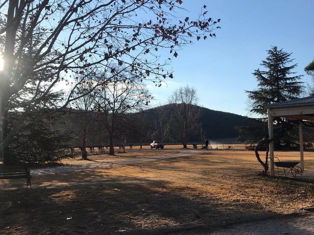 Slowfox Wines-马奇必去景点