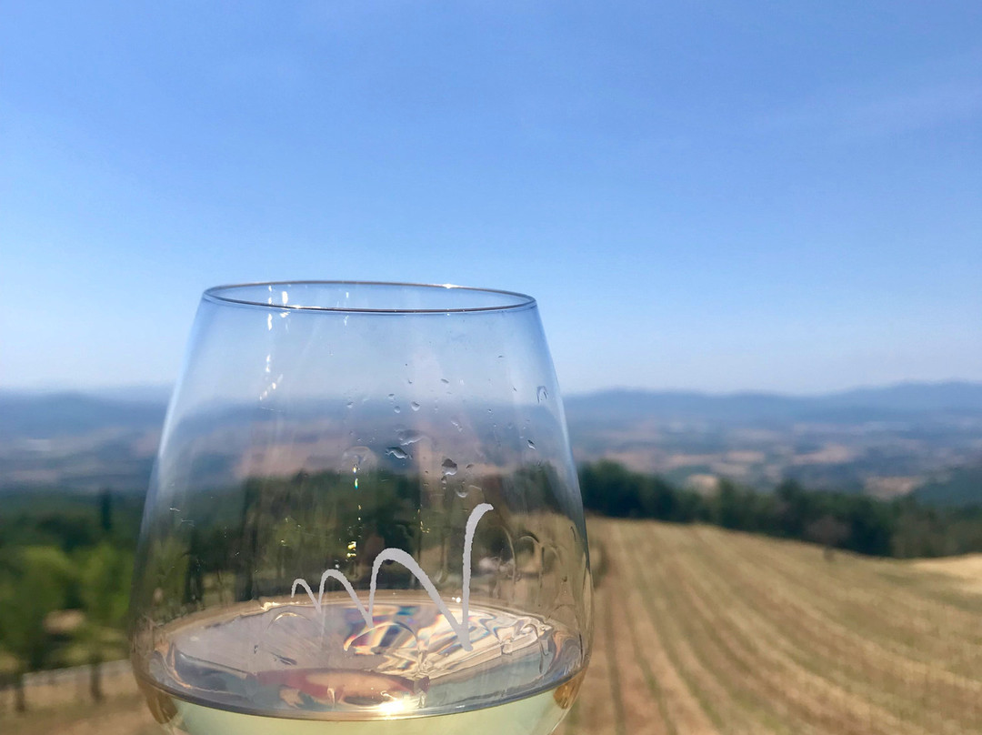 Valdonica Winery & Vineyard Residence主图