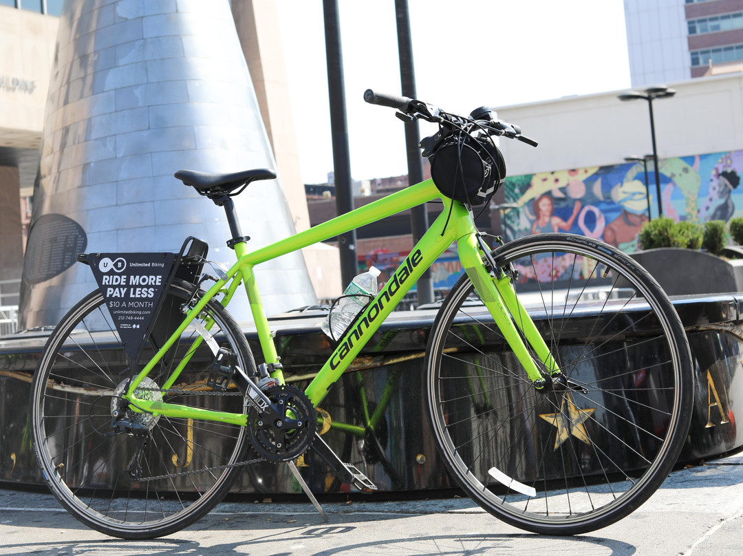 Unlimited Biking-纽约市必去景点