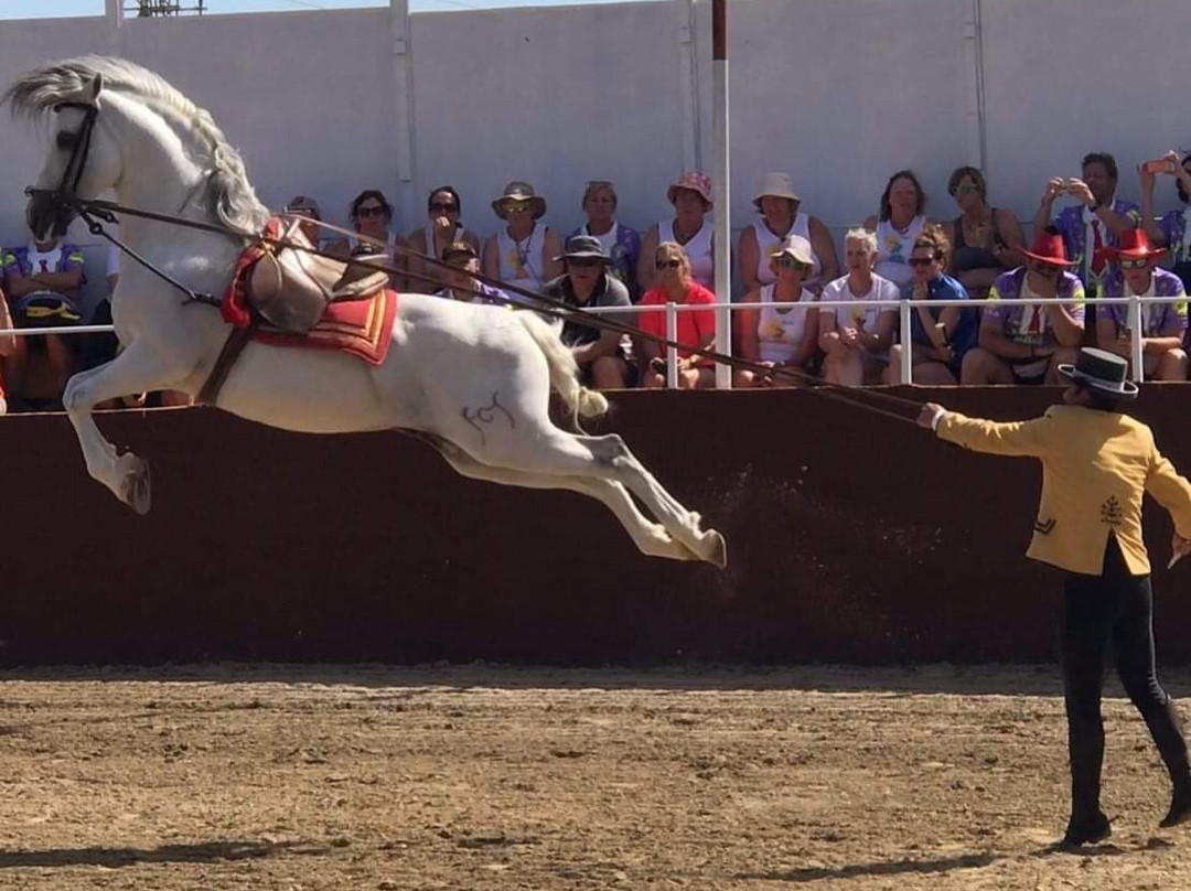 El Cartujano-米哈斯必去景点