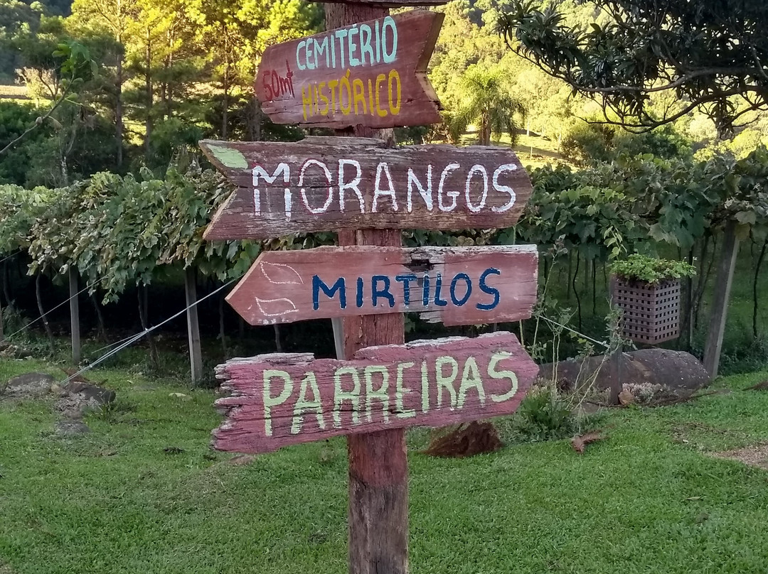 Casa Sander-Nova Petropolis必去景点