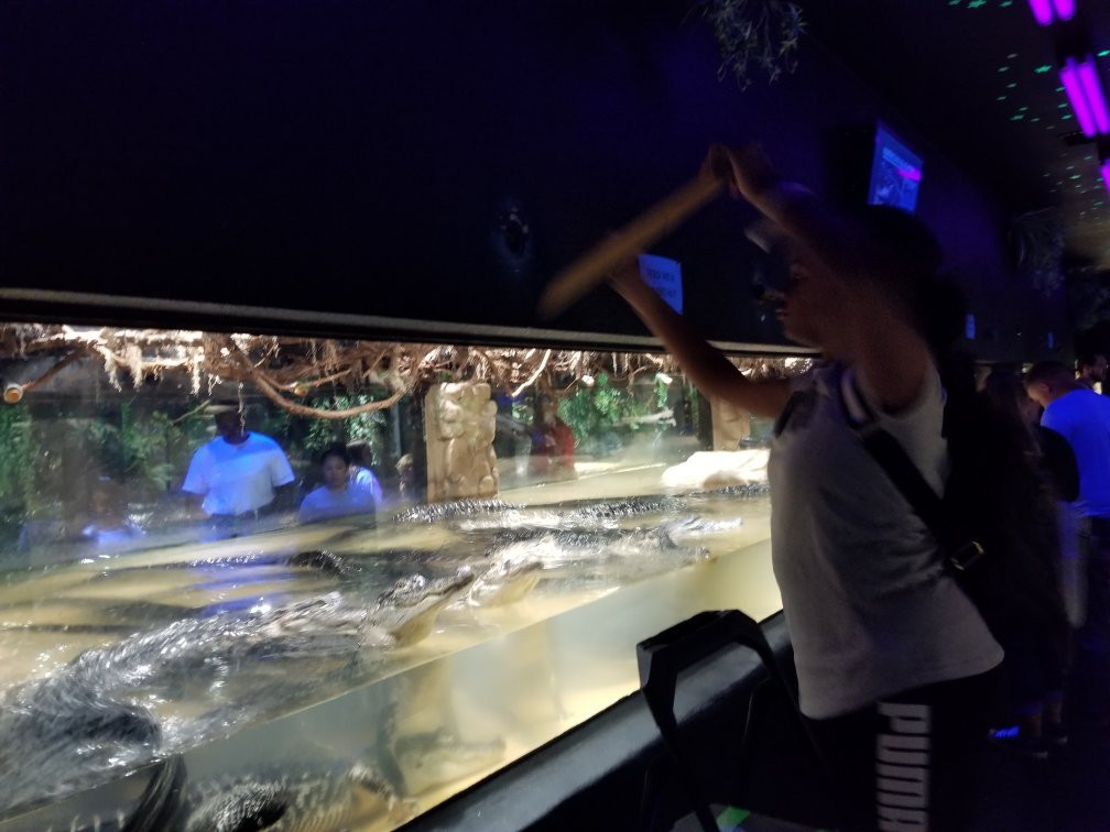 Alligator Alley Adventures-威斯康星峡谷必去景点