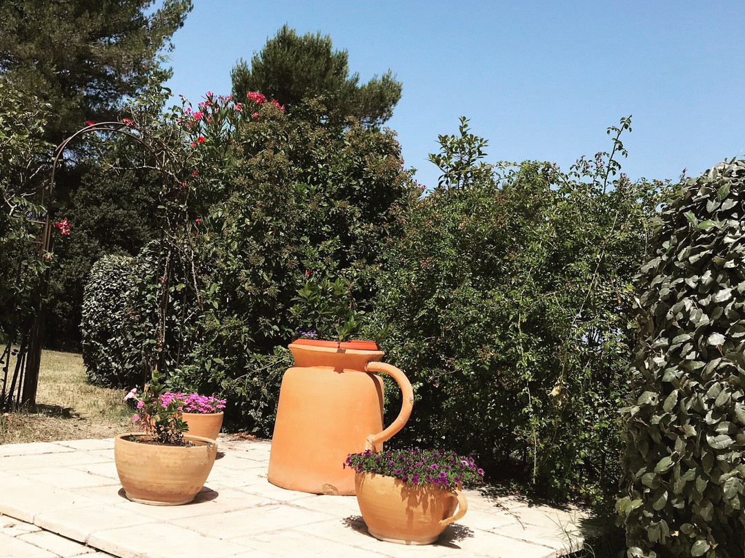 Plenitude en Provence主图