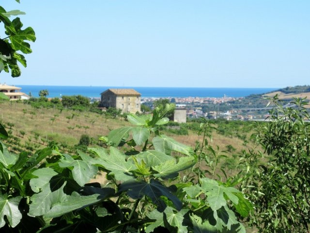Gli Orti di San Giacomo主图