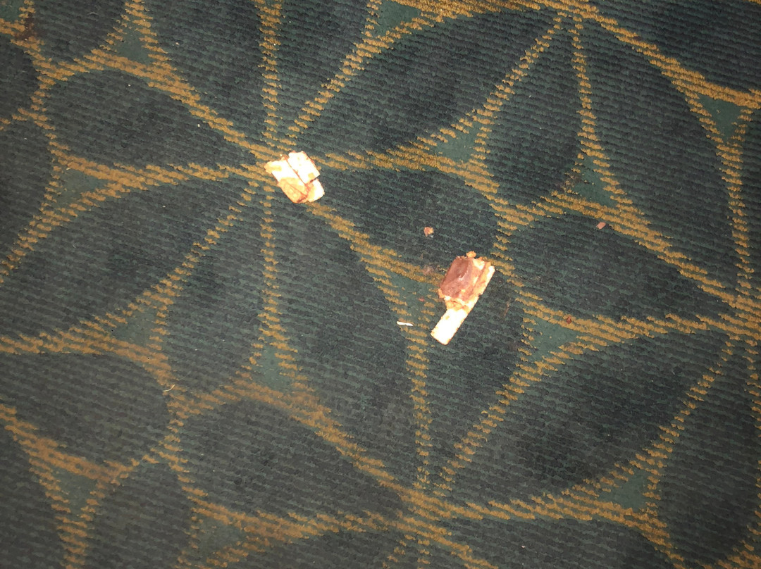 Ramada Limited Decatur主图