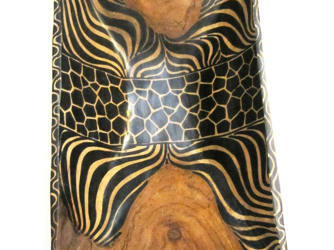 Nontando-萨拉索塔必去景点