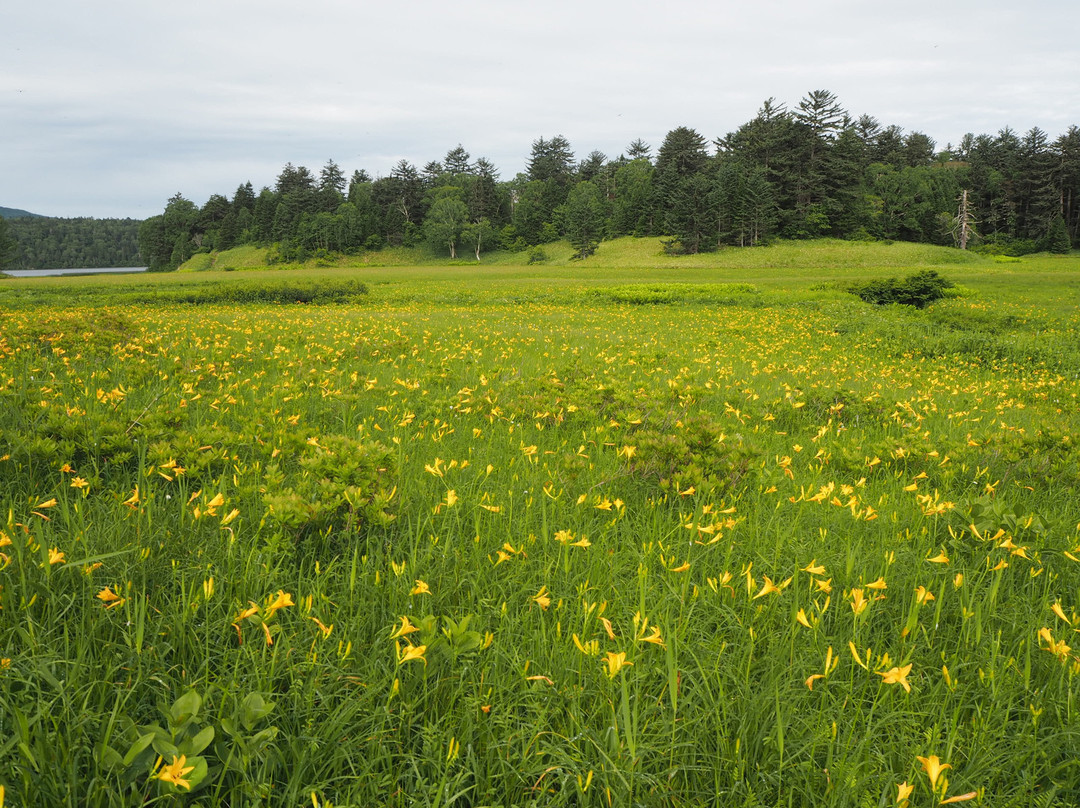 Oe Wetlands-南会津町必去景点
