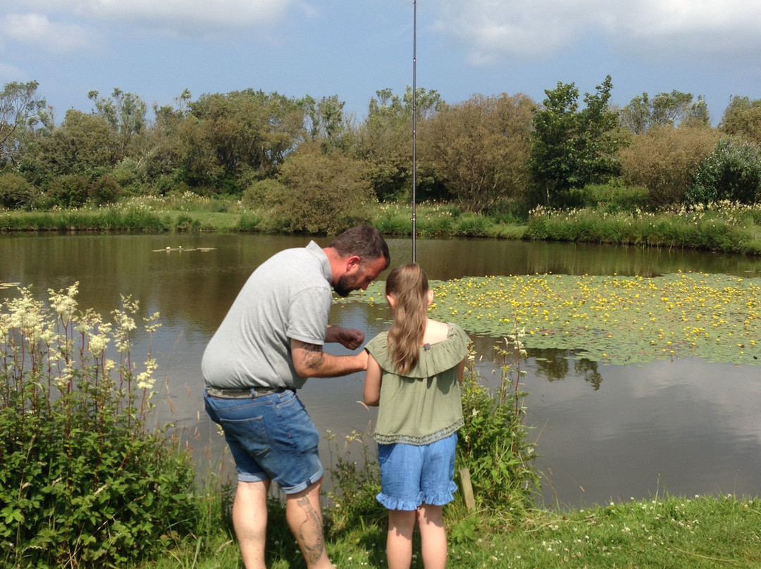 Yet-Y-Gors Campsite and Fishery Fishguard-Dwrbach必去景点