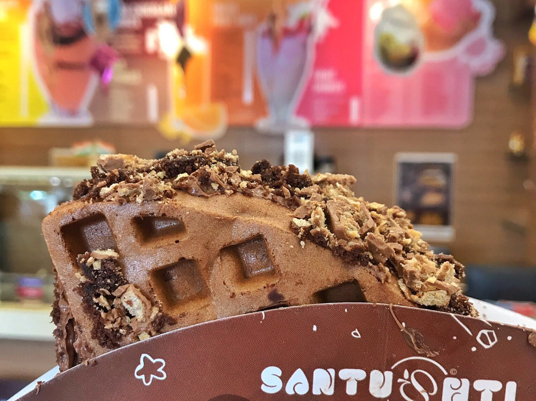 Santushti Shakes and More