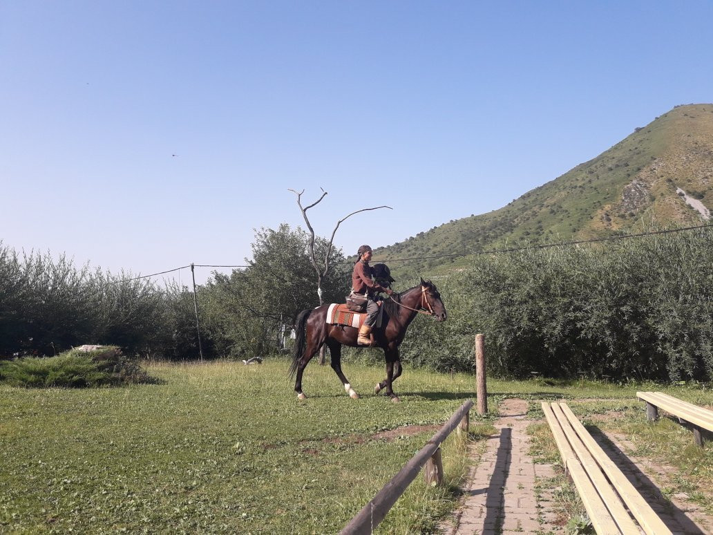 Falcon Farm Sunkar-阿拉木图必去景点