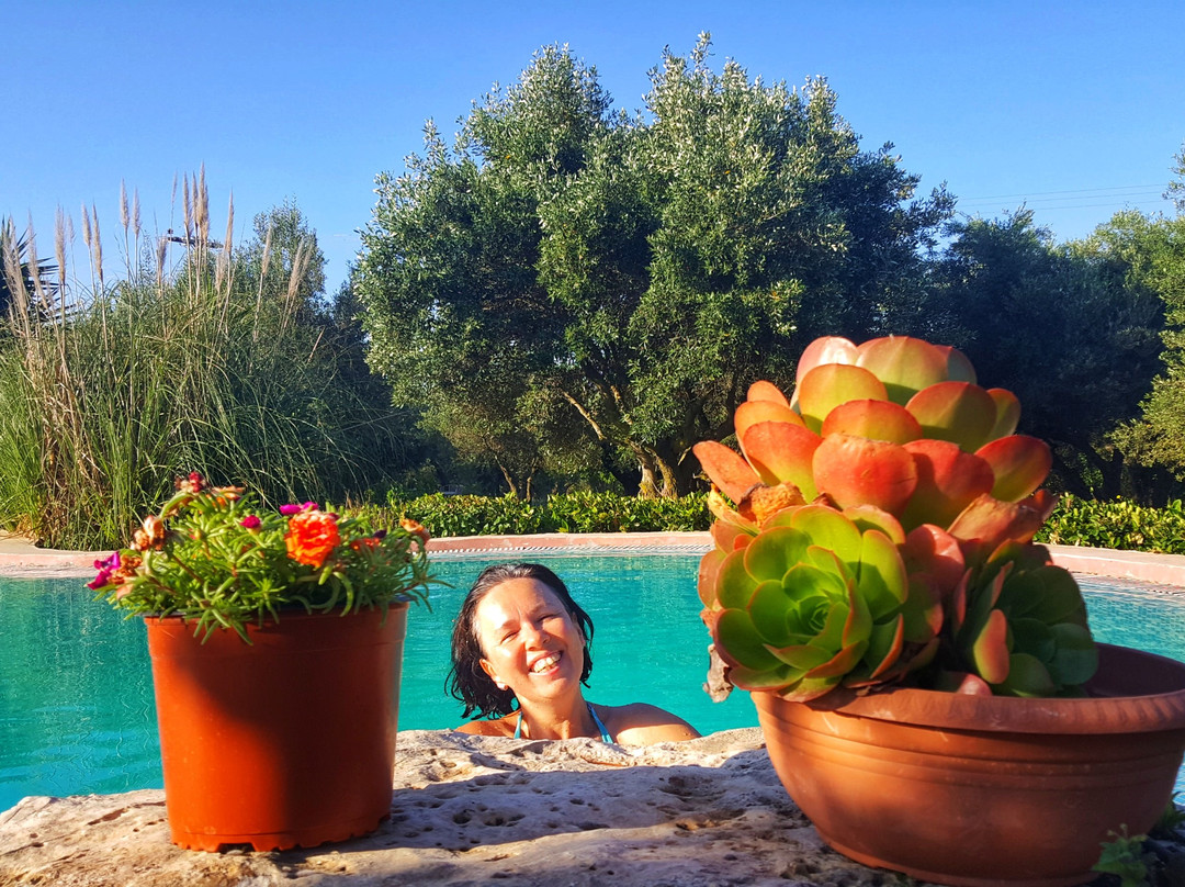 Volidiera Guesthouse主图