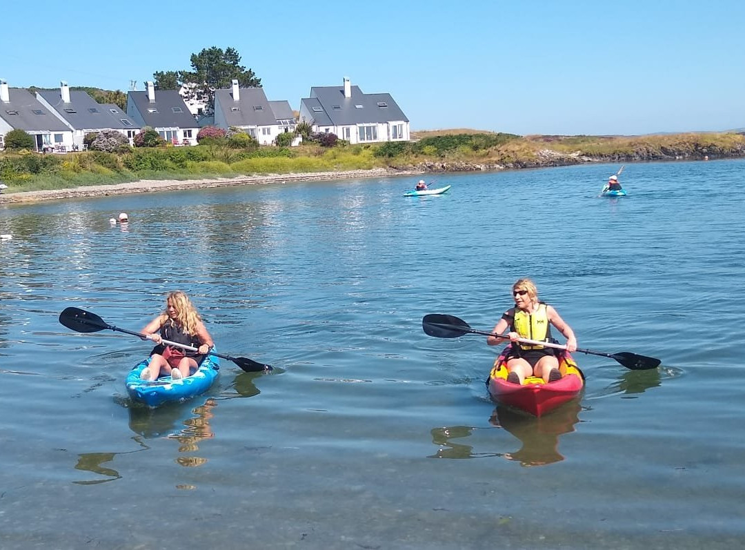 Schull Sea Safari-Schull必去景点