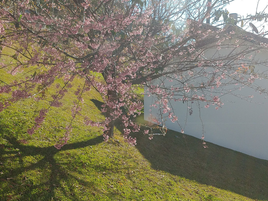 Pousada Colina das Andorinhas主图